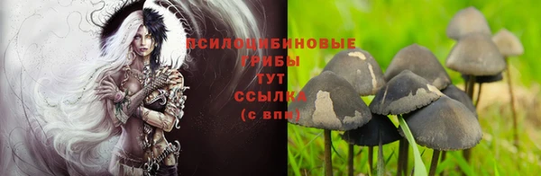 каннабис Горнозаводск