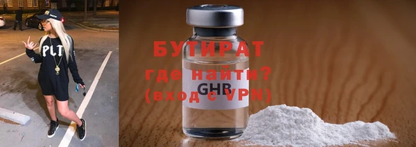 индика Гусев