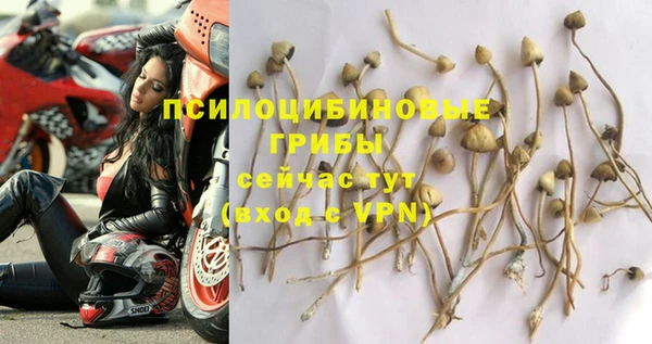 mix Горняк