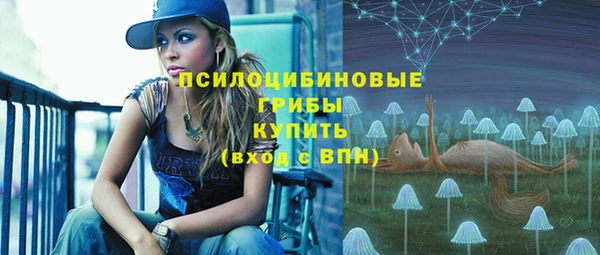 mix Горняк