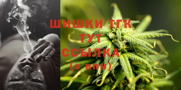 spice Гусь-Хрустальный