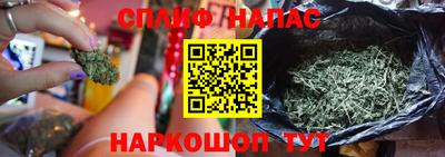 трава Гусиноозёрск