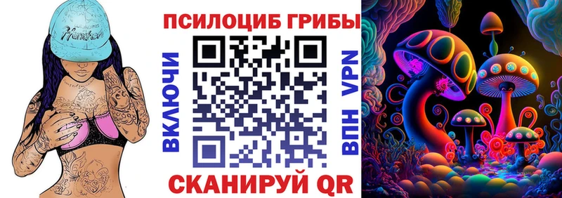 Псилоцибиновые грибы Psilocybine cubensis  блэк спрут маркетплейс  Владивосток 