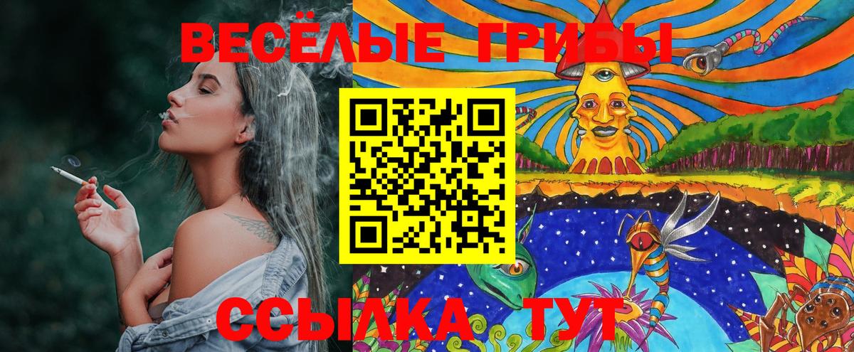 Псилоцибиновые грибы Psilocybine cubensis  Вход с VPN  Владивосток 