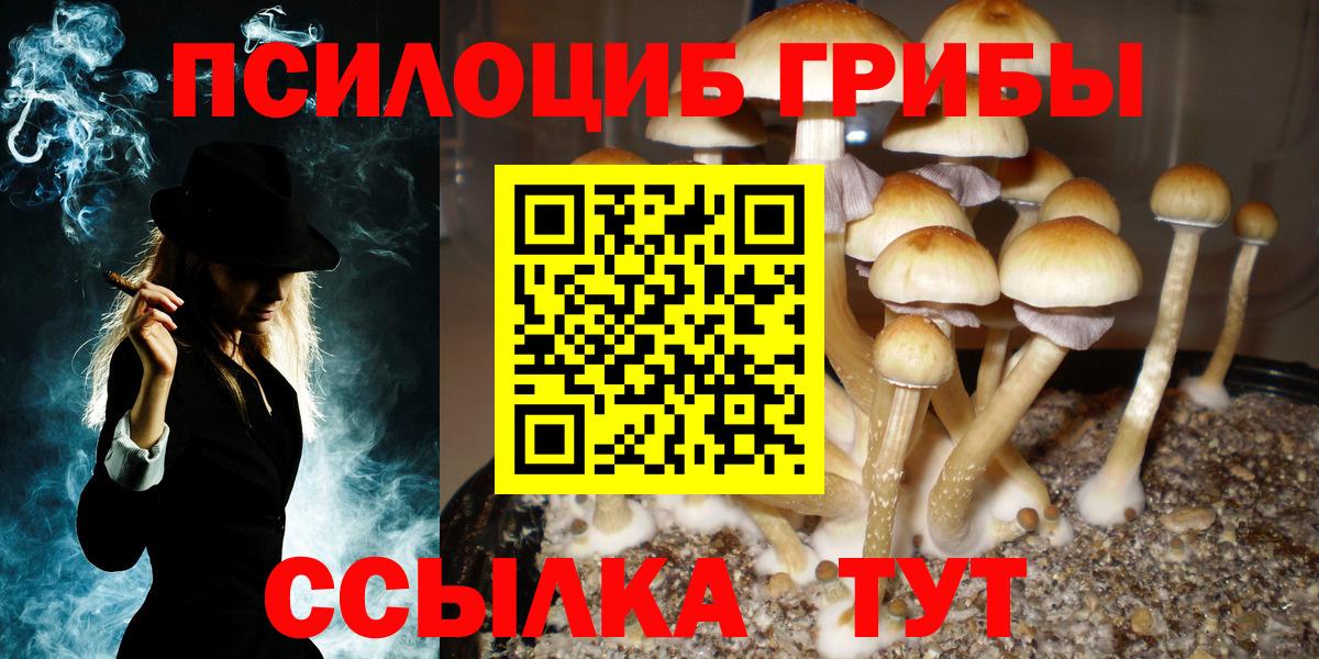 Псилоцибиновые грибы прущие грибы Владивосток