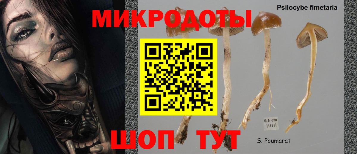 Галлюциногенные грибы Psilocybine cubensis  Владивосток  Галлюциногенные грибы Magic Shrooms 