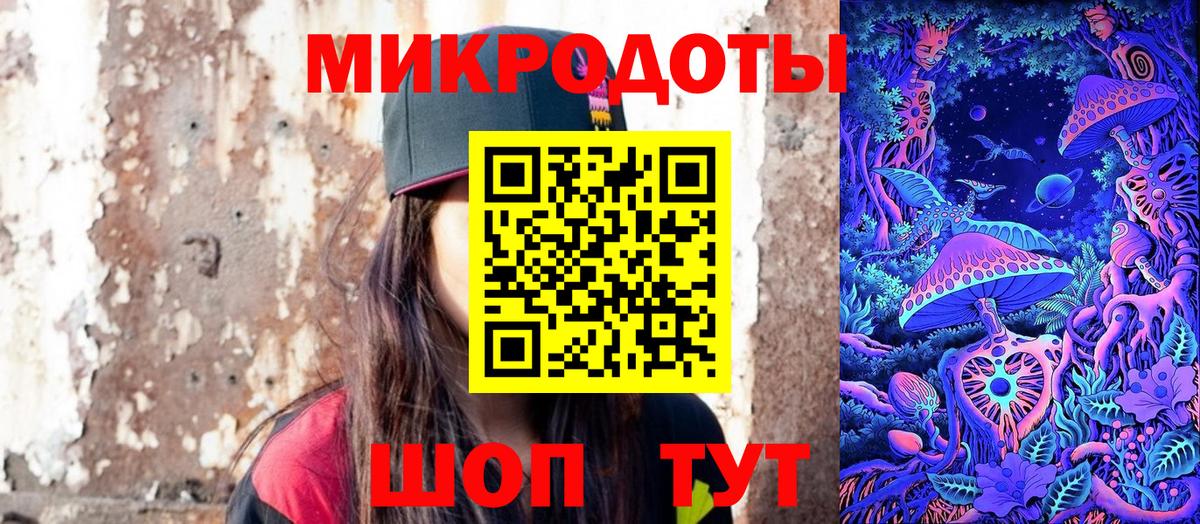 Псилоцибиновые грибы Psilocybine cubensis Владивосток